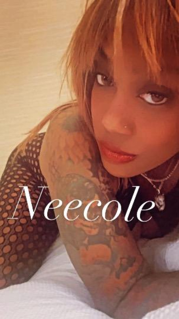 Profile picture 5